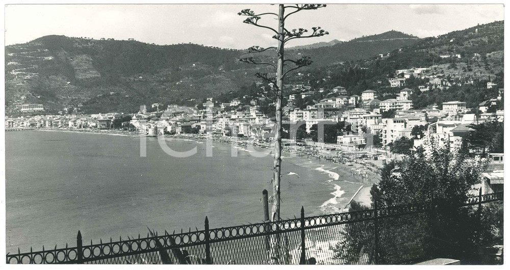 Fotografia d epoca originale 1950 ca ALASSIO SV Veduta panoramica generale Fotografia 25x13 cm 1