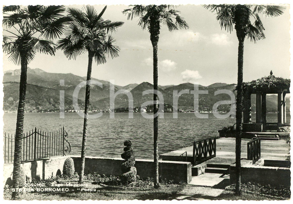 Cartolina originale da collezione 1947 STRESA VCO Panorama del Lago Maggiore e Isole Borromee  Cartolina FG VG 1