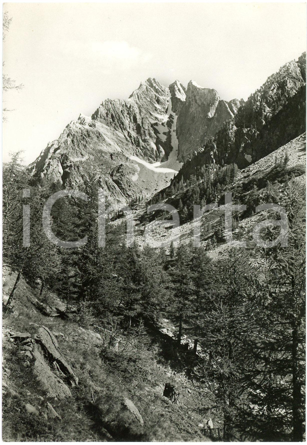 Cartolina originale da collezione 1960 ca VALLE GESSO Canalone di Lourousa e Corno Stella  Cartolina FG NV 1