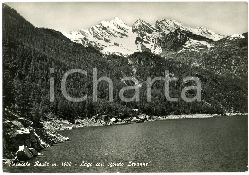 Cartolina originale da collezione 1950 ca CERESOLE REALE Lago di Ceresole Reale e Gruppo delle Levanne  Cartolina 1