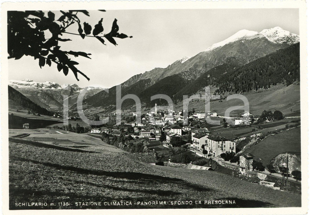 Cartolina originale da collezione 1950 ca SCHILPARIO Stazione Climatica e Massiccio Presolana  Cartolina FG NV 1
