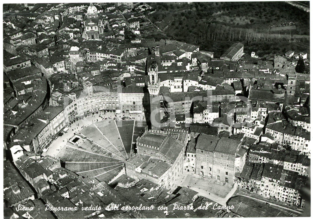 Cartolina originale da collezione 1950 ca SIENA Veduta aerea di Piazza del Campo e Torre del Mangia  Cartolina 1