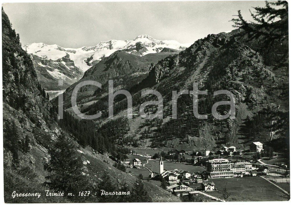 Cartolina originale da collezione 1955 GRESSONEYLATRINITE  AO Panorama del paese  Cartolina FG VG 1