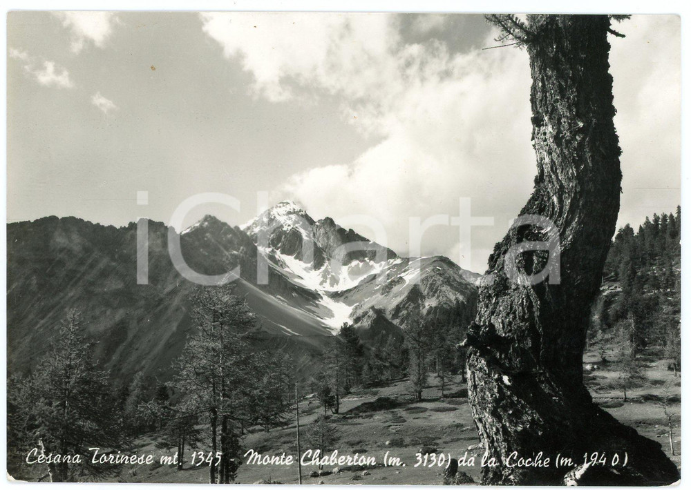 Cartolina originale da collezione 1950 ca CESANA TORINESE TO Monte Chaberton visto da La Coche  Cartolina FG NV 1