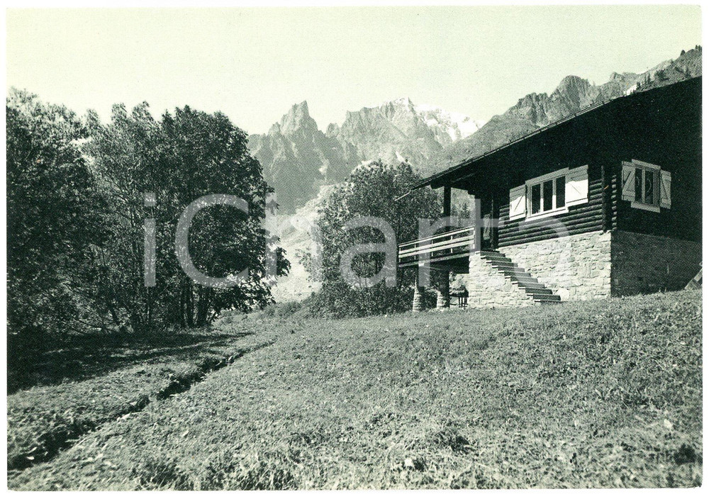 Cartolina originale da collezione 1960 ca COURMAYEUR  ENTREVES Aiguille Noire de Peuterey MONT BLANC Cartolina 1