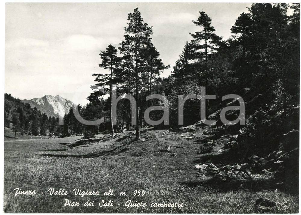Cartolina originale da collezione 1960 ca FINERO VCO Val Vigezzo  Pian dei Sali  Cartolina FG NV 1