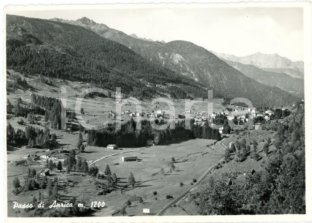 Cartolina originale da collezione 1957 APRICA BS Passo dell Aprica e panorama  Cartolina FG VG 1