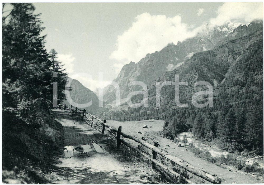 Cartolina originale da collezione 1950 ca COURMAYEUR AO Panorama con Val Ferret  Cartolina FG NV 1
