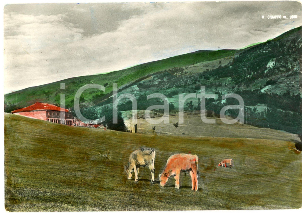 1954 ZERBA Albergo Rifugio Passo GiovÃ  alle pendici del MONTE CHIAPPO Cartolina Cartolina d'epoca viaggiata  FAIR/discreto Smussature agli angoli Formato: 15x10 cm originale e autentica 1
