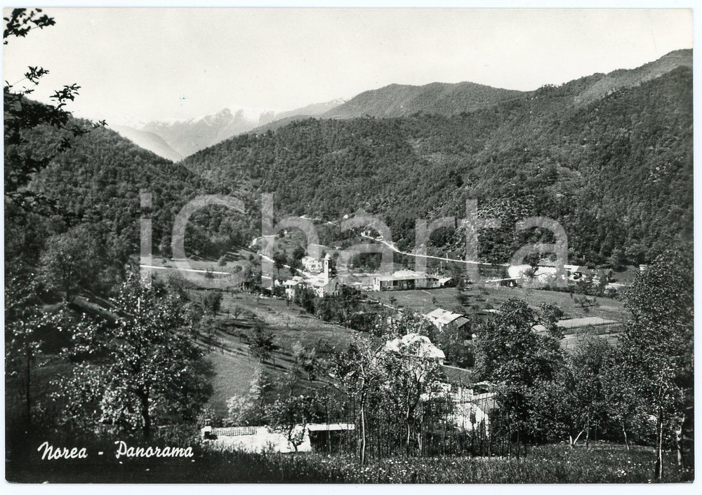 Cartolina originale da collezione 1950 ca ROCCAFORTE MONDOVI  Panorama della frazione di Norea  Cartolina FG VG 1