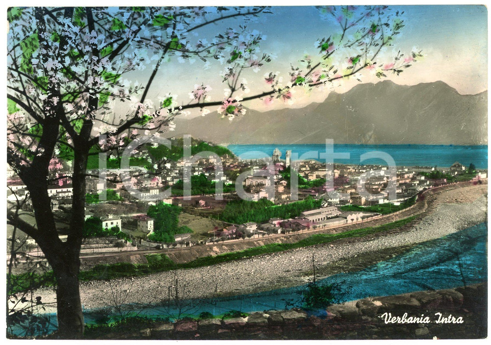 Cartolina originale da collezione 1960 ca VERBANIA Veduta di INTRA e Lago Maggiore  Cartolina FG VG 1