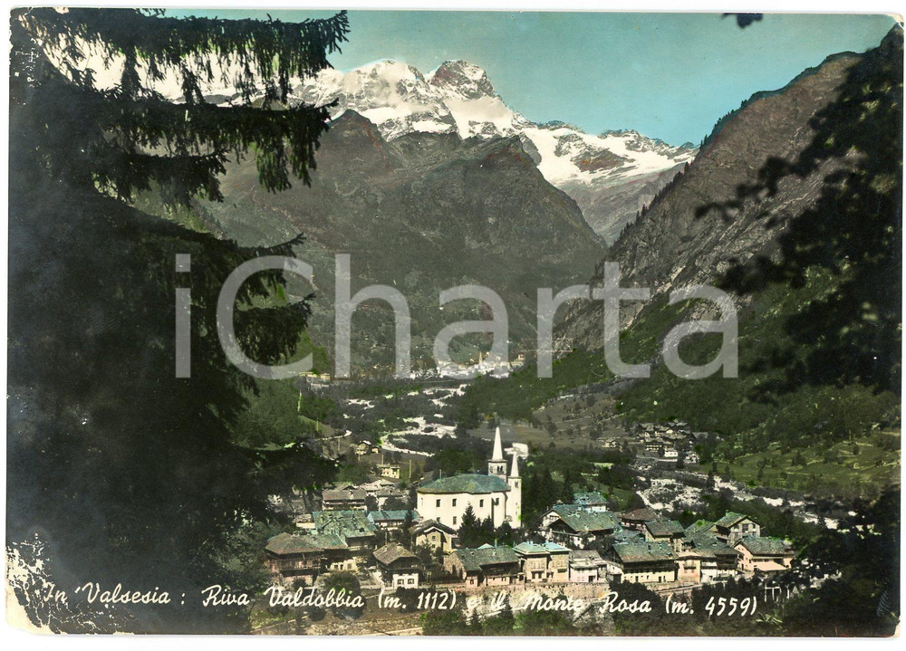 Cartolina originale da collezione 1958 RIVA VALDOBBIA VC Panorama Valsesia e Monte Rosa  Cartolina FG VG 1