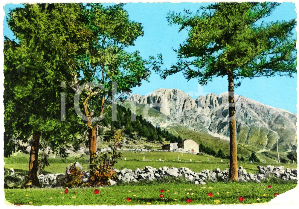 Cartolina originale da collezione 1962 CASTIONE DELLA PRESOLANA BG Pizzo della Presolana  Cartolina FG VG 1