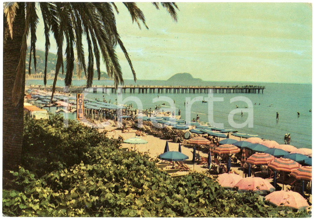 Cartolina originale da collezione 1960 ca ALASSIO SV Panorama della spiaggia  Cartolina ANIMATA FG VG 1