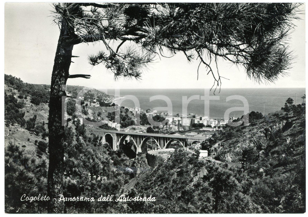 Cartolina originale da collezione 1964 COGOLETO GE Panorama dal Ponte dell Autostrada  Cartolina FG VG 1