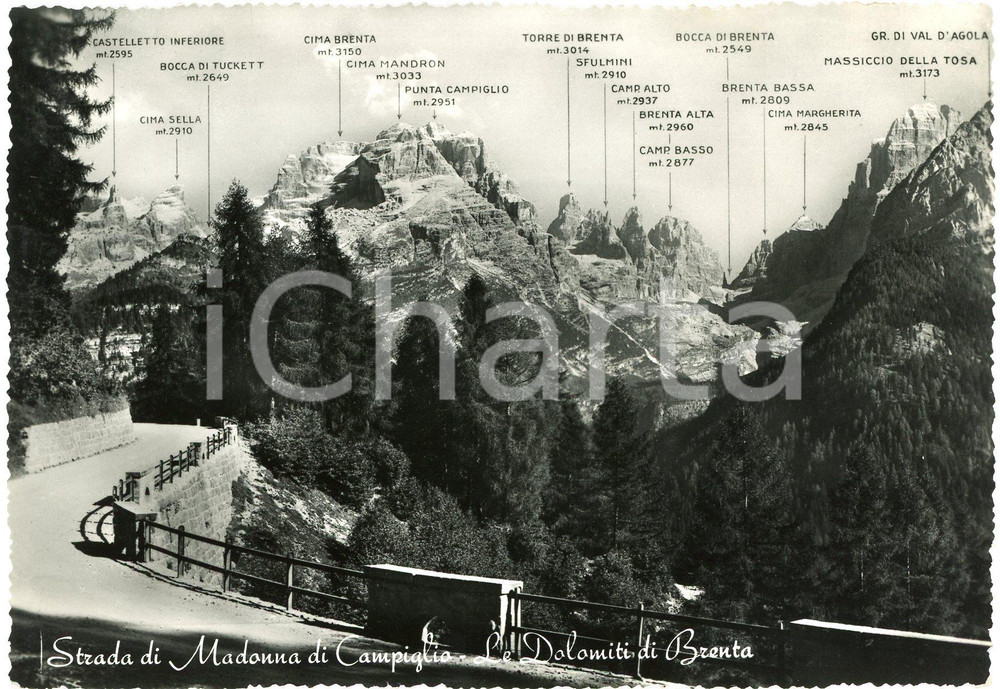 Cartolina originale da collezione 1960 MADONNA DI CAMPIGLIO Le Dolomiti del Brenta  Cartolina FG VG 1