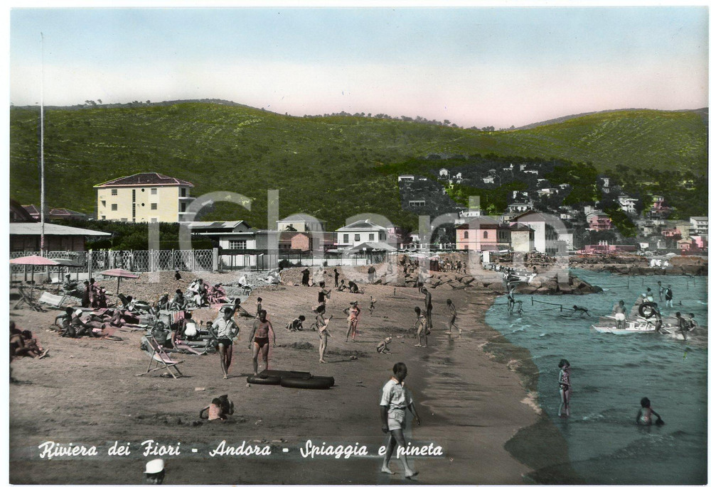 Cartolina originale da collezione 1960 ca ANDORA SV Bagnanti sulla spiaggia e la Pineta  Cartolina FG NV 1