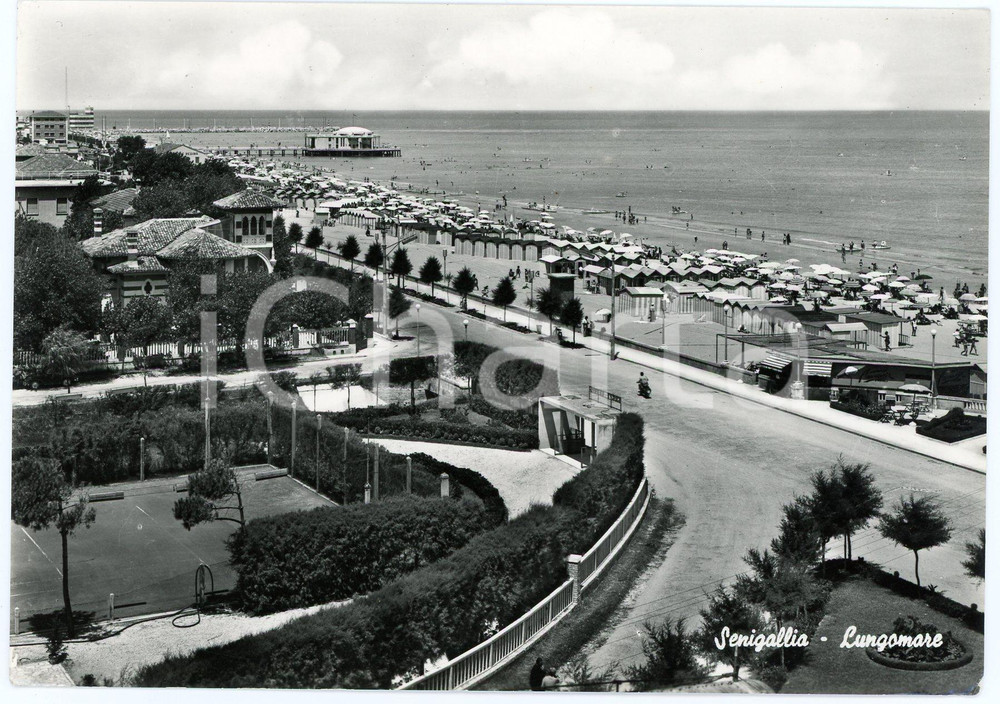 Cartolina originale da collezione 1964 SENIGALLIA AN La spiaggia e il lungomare  Cartolina ANIMATA FG VG 1