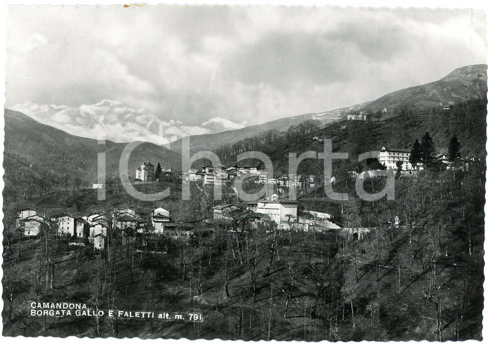Cartolina originale da collezione 1952 CAMANDONA BI Panorama della Borgata Gallo e Faletti  Cartolina FG VG 1