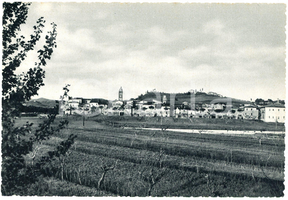 Cartolina originale da collezione 1950 ca BUONCONVENTO SI Panorama da Ponente  Cartolina FG NV 1