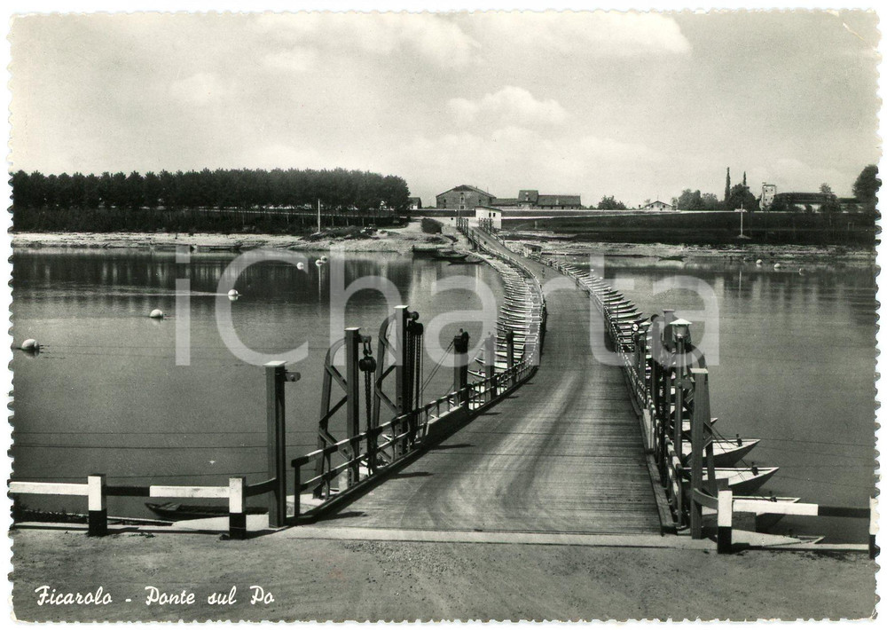 Cartolina originale da collezione 1955 FICAROLO RO Ponte di chiatte sul Fiume Po  Cartolina FG VG 1