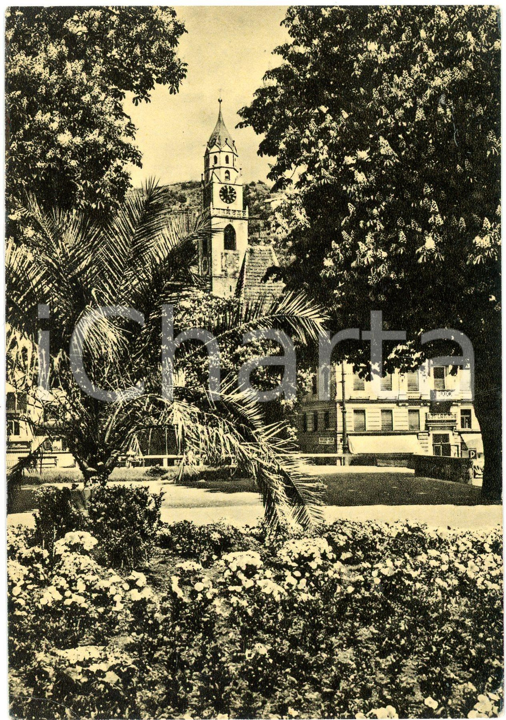 Cartolina originale da collezione 1950 ca MERANO BZ Chiesa di San NicolÃ² vista dai giardini  Cartolina FG NV 1