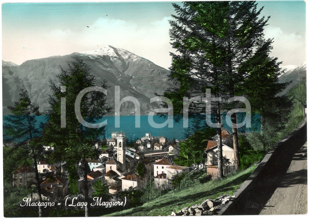 Cartolina originale da collezione 1958 MACCAGNO VA Panorama con il Lago Maggiore  Cartolina FG VG 1