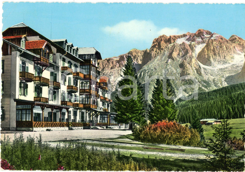 Cartolina originale da collezione 1953 MADONNA DI CAMPIGLIO Campo Carlo Magno  Golf Hotel  Cartolina FG VG 1