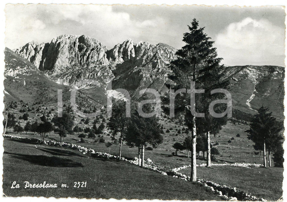 Cartolina originale da collezione 1967 CASTIONE DELLA PRESOLANA BG La Presolana  Cartolina FG VG 1