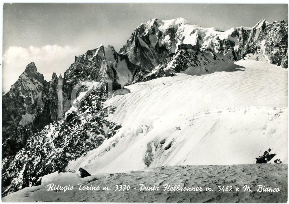 Cartolina originale da collezione 1963 COURMAYEUR Rifugio Torino  Punta Helbronner e Monte Bianco  Cartolina FG 1