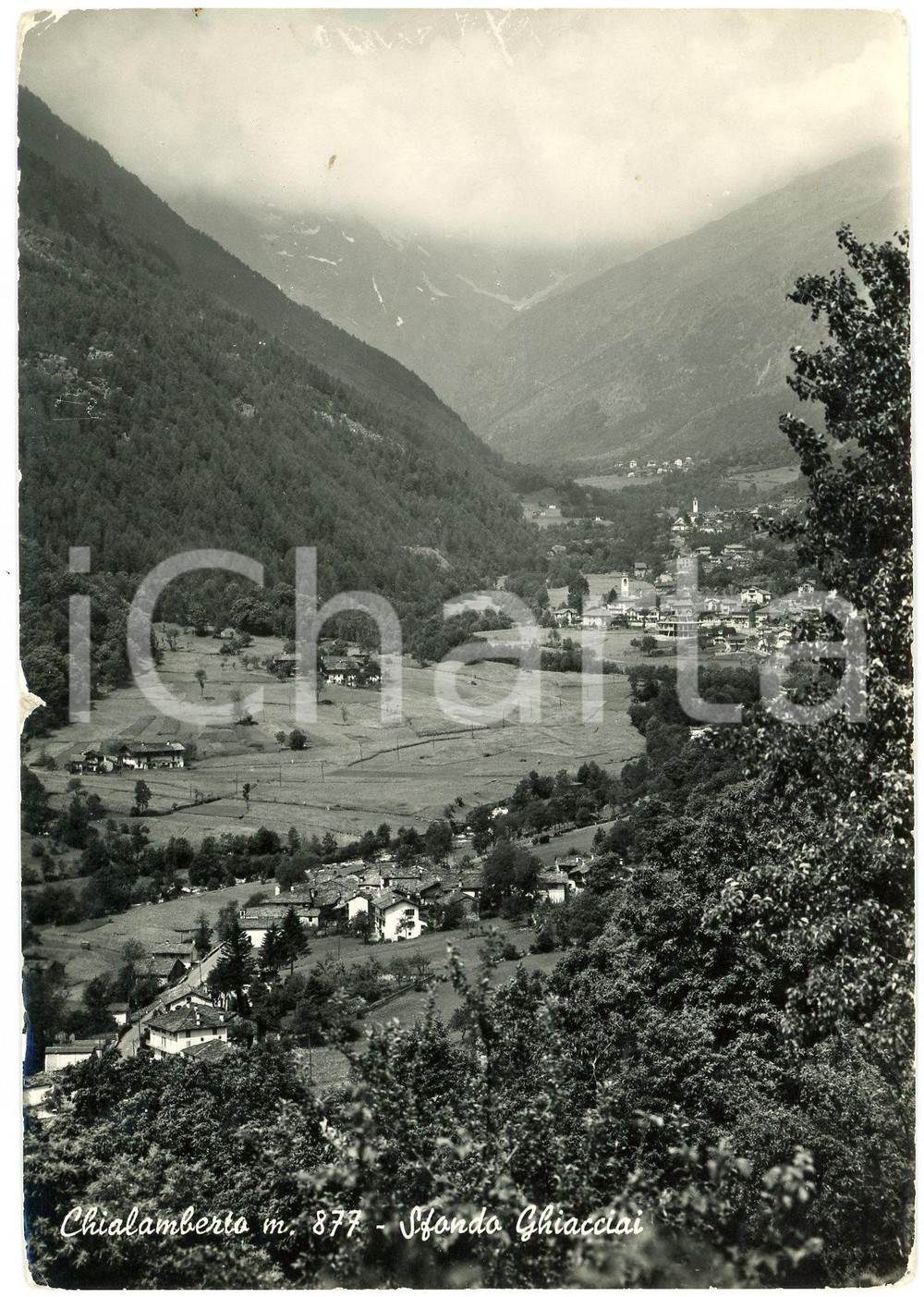 Cartolina originale da collezione 1950 ca CHIALAMBERTO TO Panorama con i ghiacciai  Cartolina FG VG 1