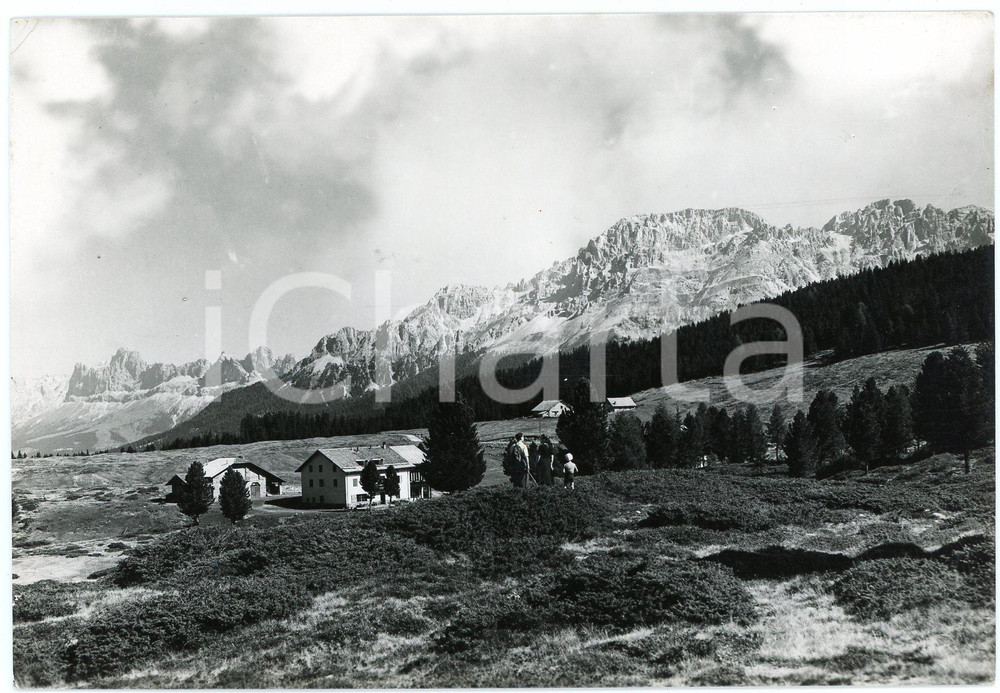 Cartolina originale da collezione 1953 VILLE DI FIEMME Altopiano di Lavazè e Gruppo del Latemar Cartolina ANIMATA 1