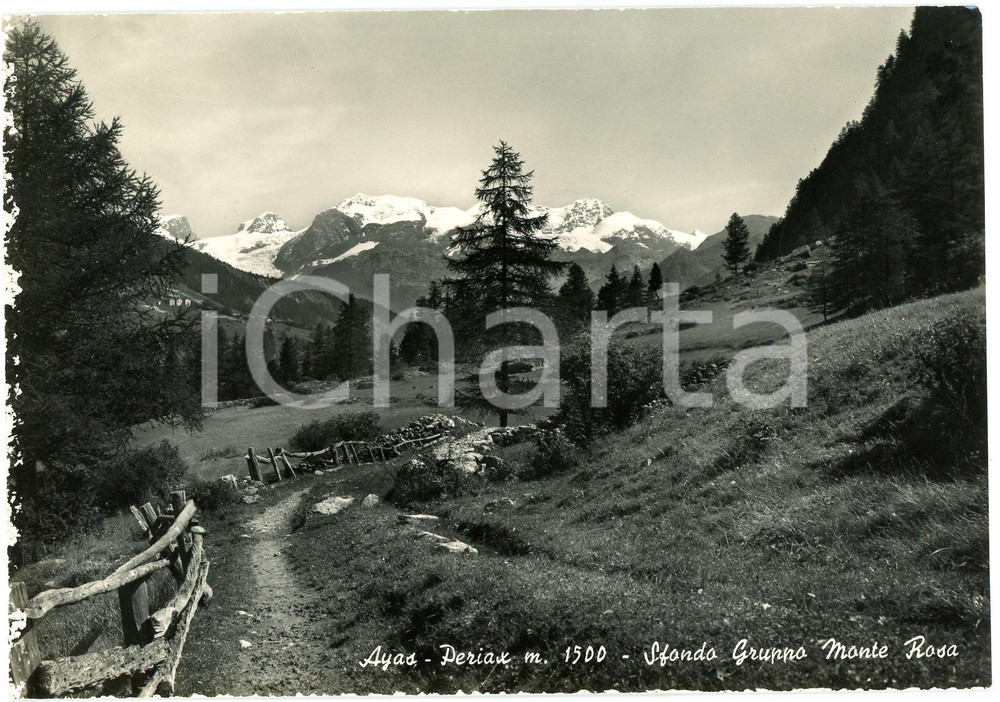 Cartolina originale da collezione 1956 AYAS AO Frazione PERIASC e Gruppo del Monte Rosa  Cartolina FG VG 1