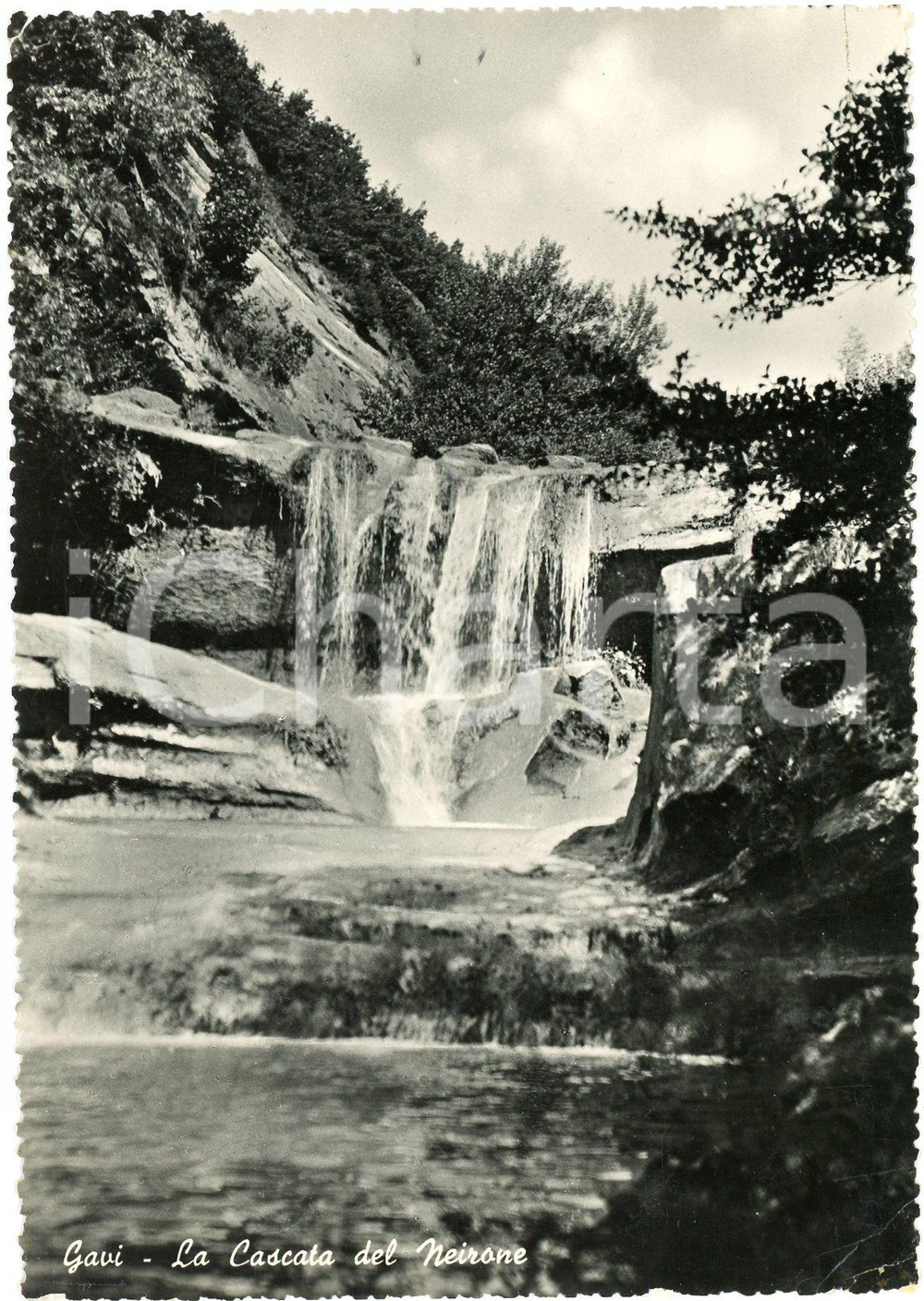 Cartolina originale da collezione 1952 GAVI LIGURE AL La Cascata del Neirone  Cartolina FG VG 1