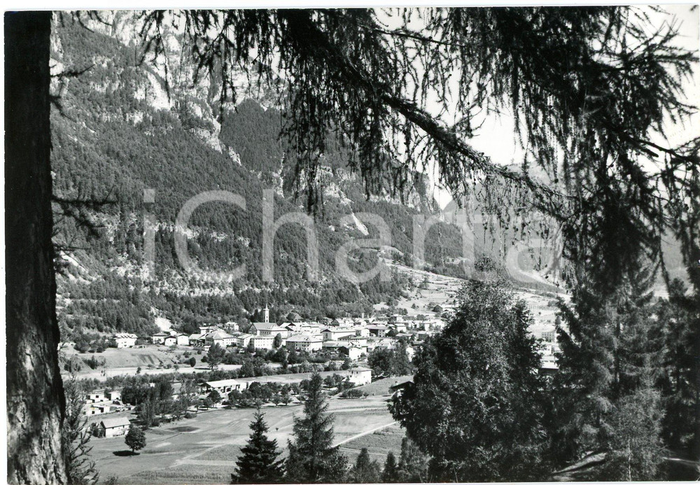 Cartolina originale da collezione 1965 ZIANO DI FIEMME TN Panorama del paese  Cartolina FG VG 1