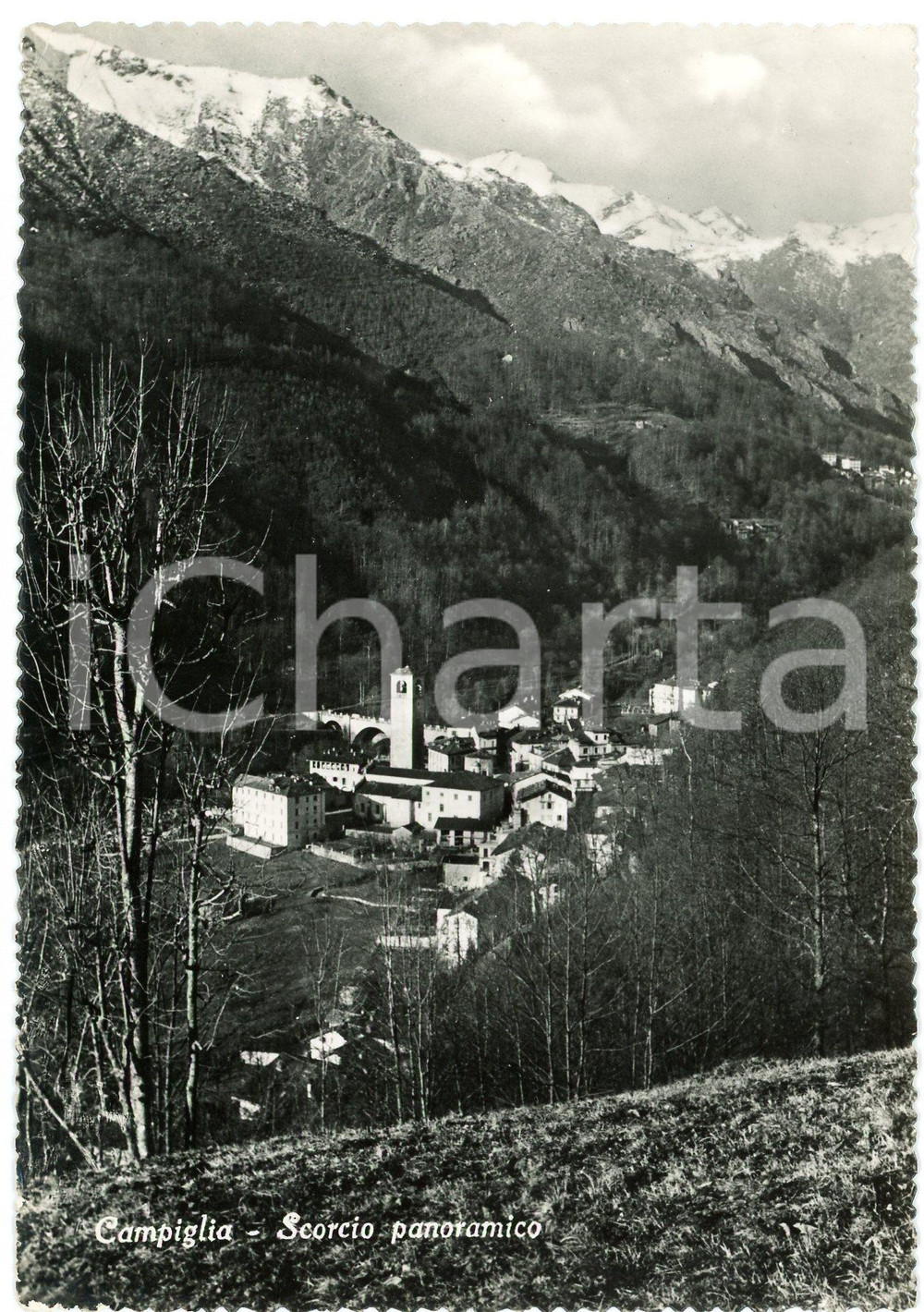 1956 CAMPIGLIA CERVO Scorcio panoramico - Cartolina FG VG