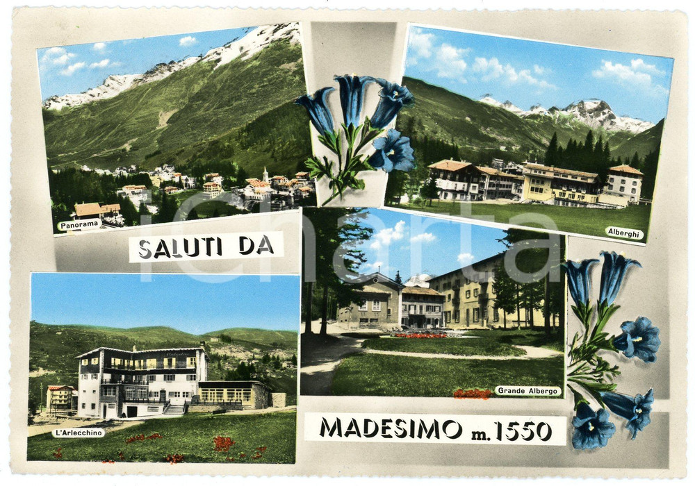 Cartolina originale da collezione 1959 MADESIMO SO Vedutine Hotel Arlecchino e Grande Albergo  Cartolina FG VG 1