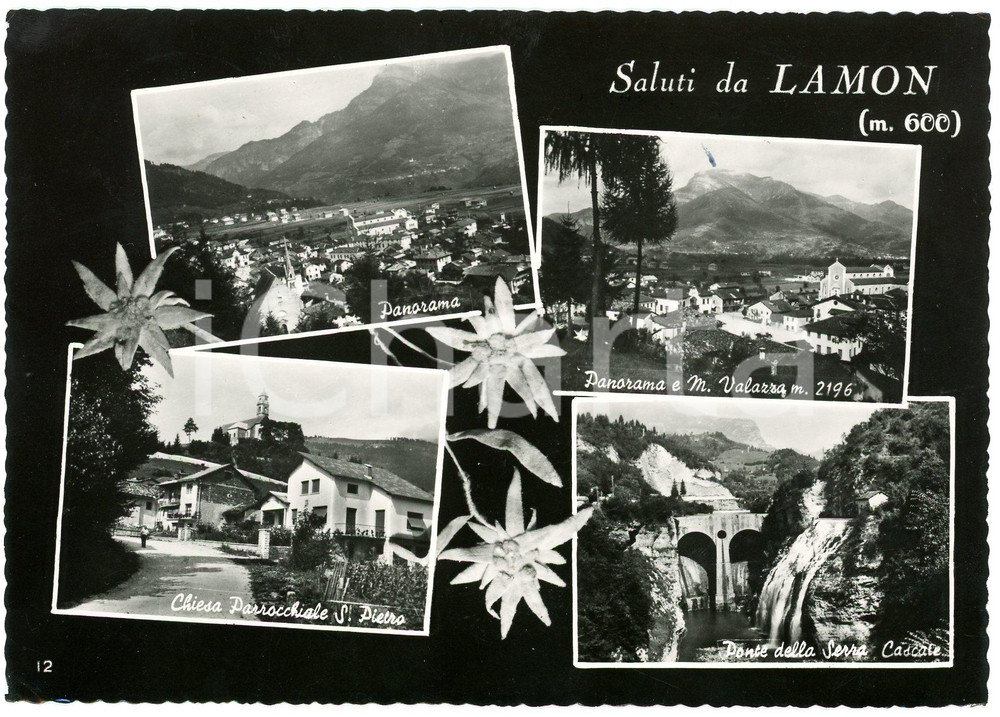 Cartolina originale da collezione 1950 ca LAMON BL Chiesa San Pietro  Monte Valazza  Ponte Serra  Cartolina 1