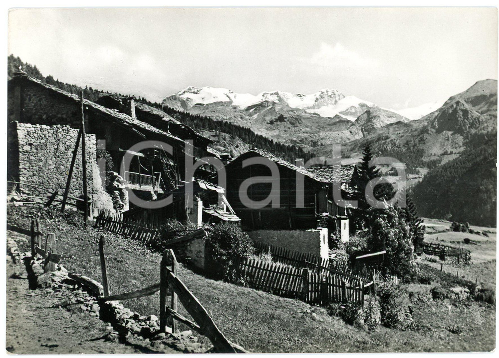 Cartolina originale da collezione 1950 ca VAL D AYAS BL Panorama del paese  Cartolina FG NV 1