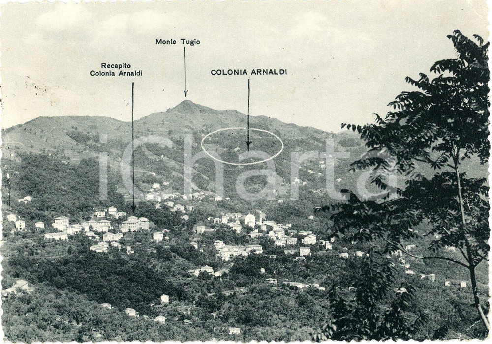 Cartolina originale da collezione 1957 USCIO Colonia della salute Carlo Arnaldi e Monte Tugio  Cartolina FG VG 1