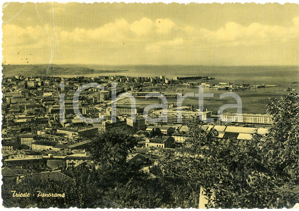 Cartolina originale da collezione 1955 TRIESTE Panorama con il Porto  Cartolina FG VG 1