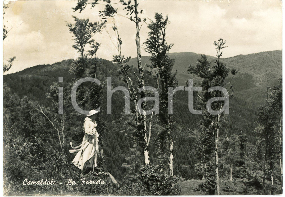 Cartolina originale da collezione 1955 POPPI Eremo di Camaldoli  Monaco benedettino nella foresta  Cartolina FG 1