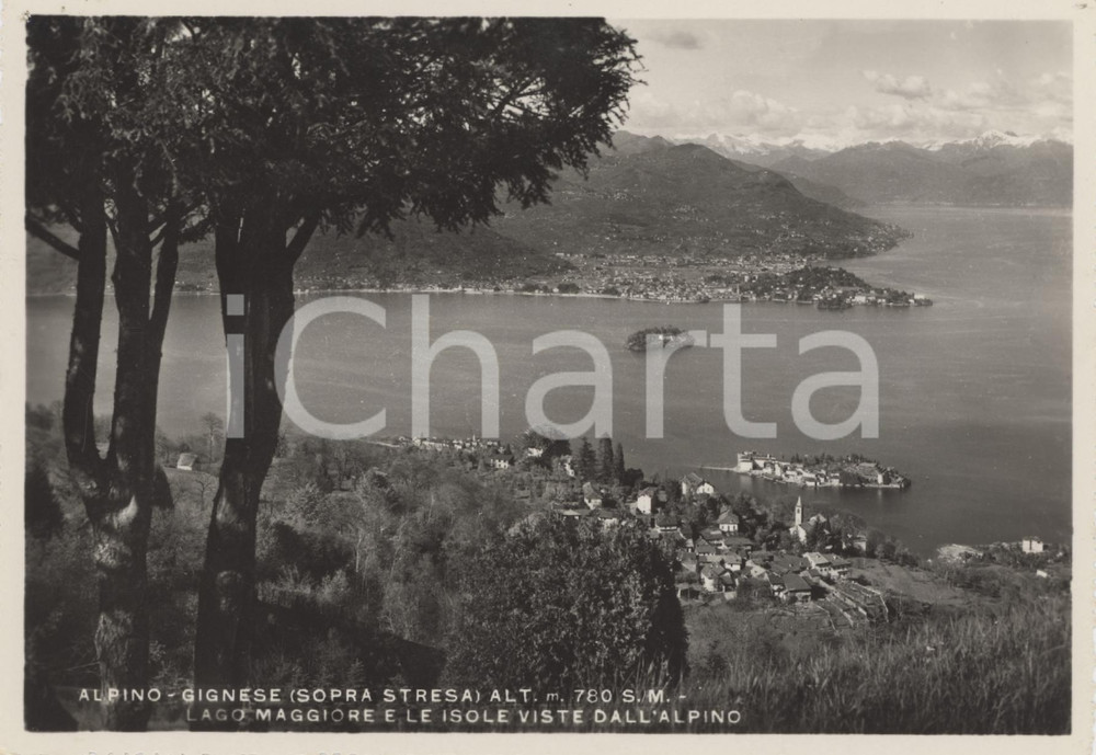 Cartolina originale da collezione 1950 ca ALPINO  GIGNESE Lago Maggiore e le Isole viste dall Alpino  Cartolina 1