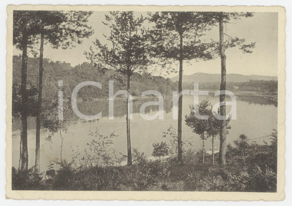 Cartolina originale da collezione 1946 PIEDICOLLE Panorama con il fiume  Cartolina FG VG 1