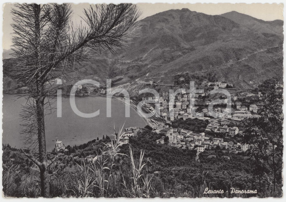 1959 LEVANTO (SP) Panorama del paese - Cartolina FG VG