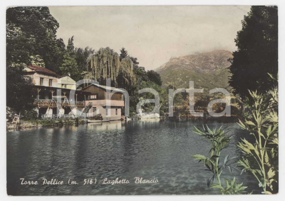 Cartolina originale da collezione 1956 TORRE PELLICE TO Laghetto Blancio  Cartolina FG VG 1