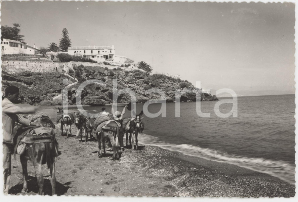 Cartolina originale da collezione 1960 TORREMOLINOS MALAGA Asini in Playa de la Carihuela  Cartolina ANIMATA FG 1