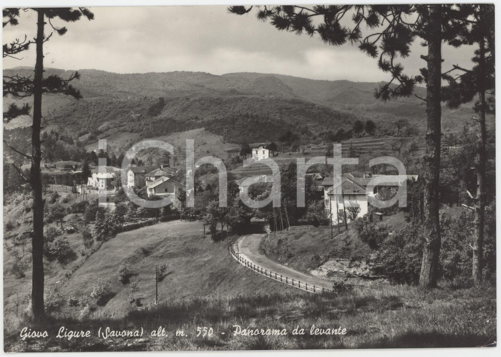 Cartolina originale da collezione 1957 GIOVO LIGURE SV Panorama da Levante  Cartolina FG VG 1