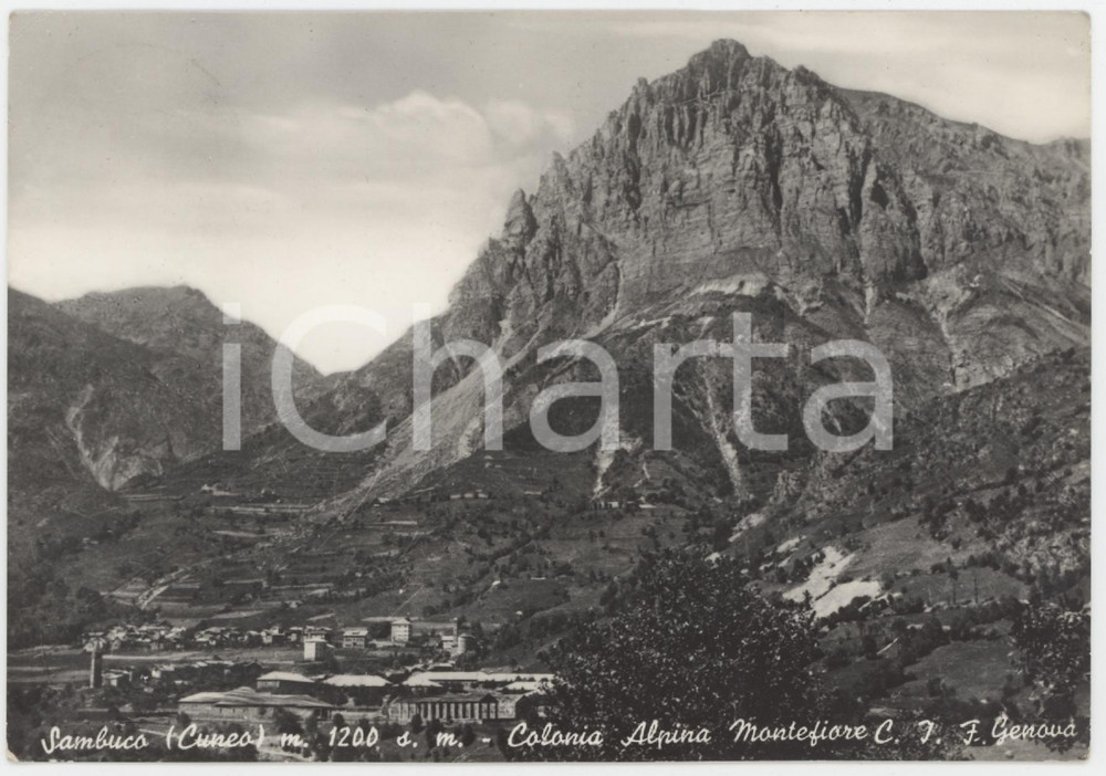 Cartolina originale da collezione 1956 SAMBUCO CN Colonia Alpina Montefiore e Monte Bersaio  Cartolina FG VG 1