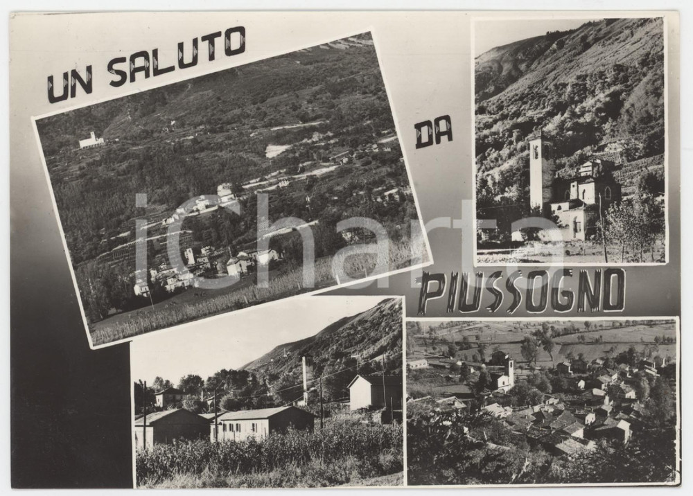Cartolina originale da collezione 1950 ca CERCINO SO Panorama della frazione di PIUSSOGNO Cartolina FG VG 1